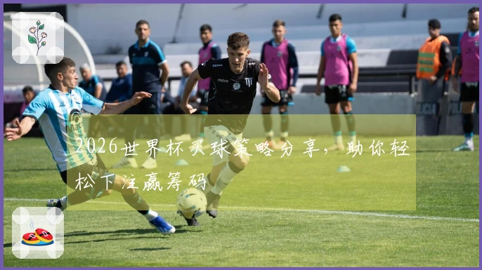 2026世界杯买球策略分享，助你轻松下注赢筹码