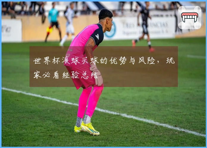 世界杯滚球买球的优势与风险，玩家必看经验总结