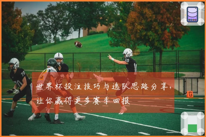 世界杯投注技巧与选队思路分享，让你赢得更多赛季回报