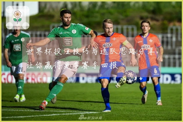 世界杯投注技巧与选队思路分享，让你赢得更多赛季回报