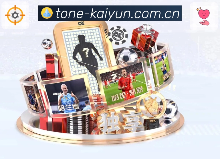 全球访问热力分布图